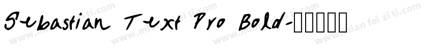 Sebastian Text Pro Bold字体转换